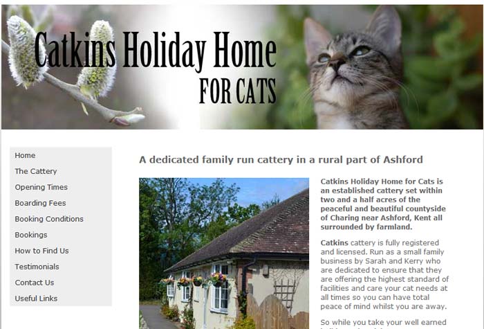 Cat holiday home near hot sale me