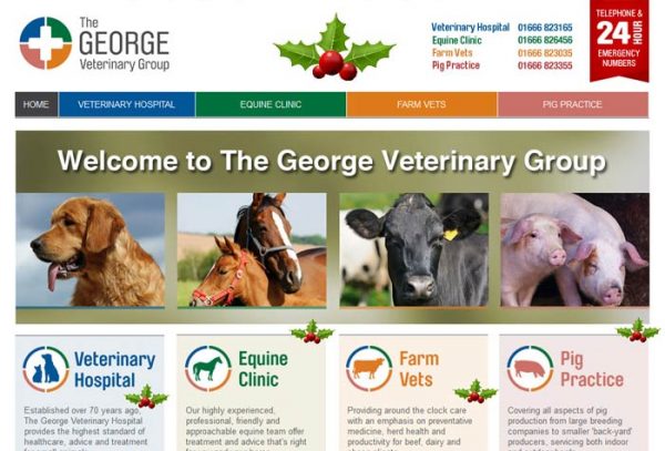 The George Veterinary Group Jobs