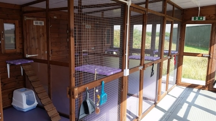 Abbotts View Farm Cattery - British Cattery Directory